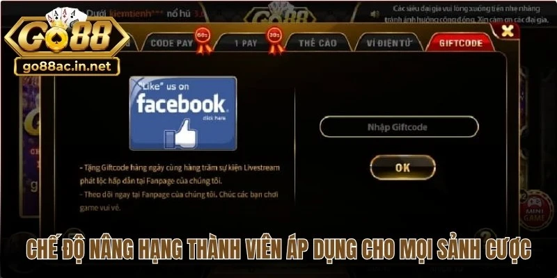 Chế độ nâng hạng thành viên cuốn hút áp dụng cho mọi sảnh cược